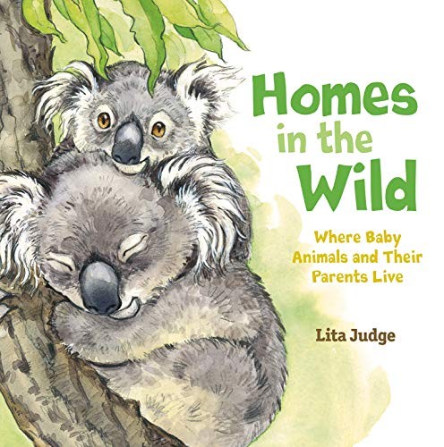 Cover for Homes in the Wild