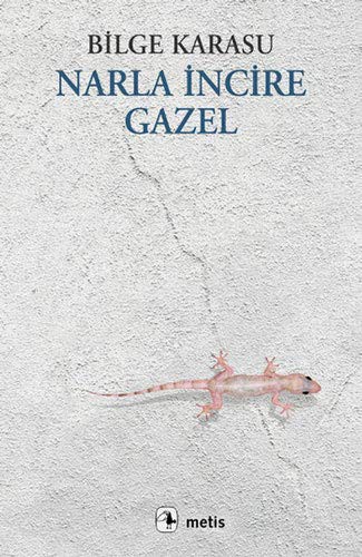 Cover for Narla Incire Gazel