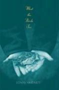 Cover for What the birds see