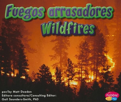 Cover for Fuegos arrasadores =