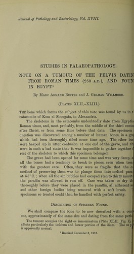 Cover for Studies in palaeopathology