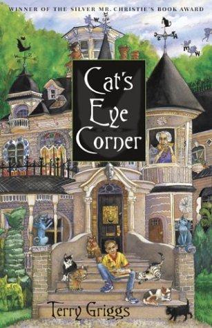 Cover for Cat's eye corner