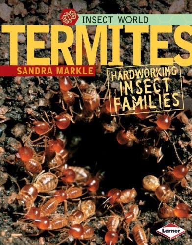 Cover for Termites