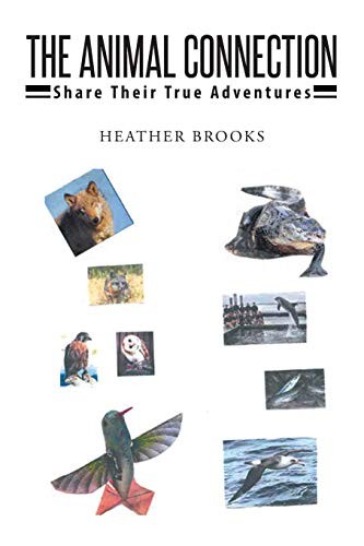 Cover for Animal Connection