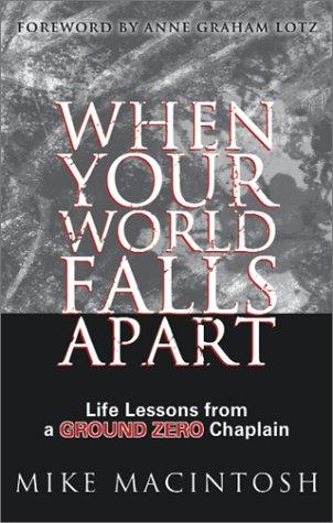 Cover for When your world falls apart