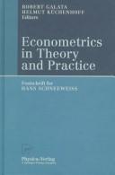 Cover for Econometrics in Theory and Practice