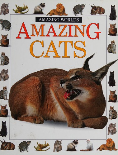 Cover for Amazing Worlds Amazing Cats