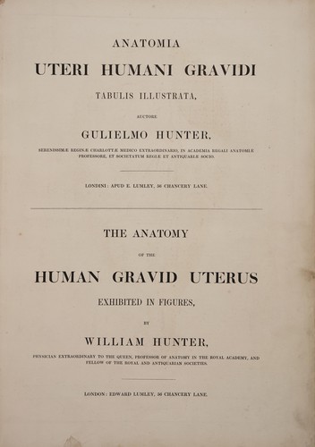 Cover for Anatomia uteri humani gravidi tabulis illustrata