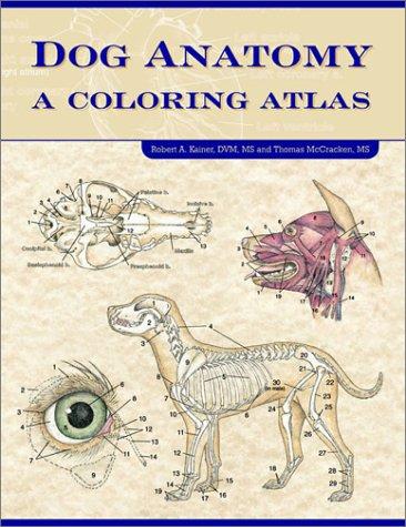 Cover for Dog Anatomy