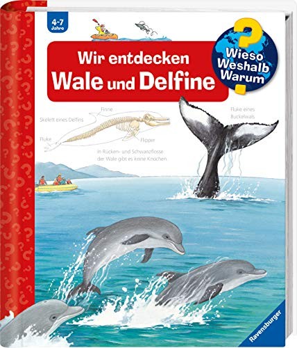 Cover for Wir entdecken Wale und Delfine