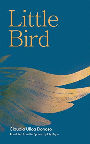 Cover for Little Bird