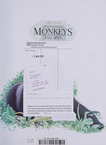 Cover for A visual introduction to monkeys and apes