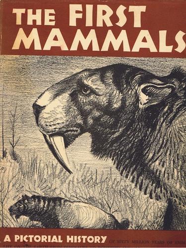 Cover for The first mammals