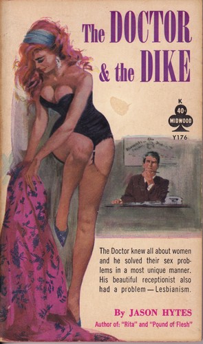 Cover for The doctor & the dike