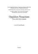 Cover for Oppidum Nesactium