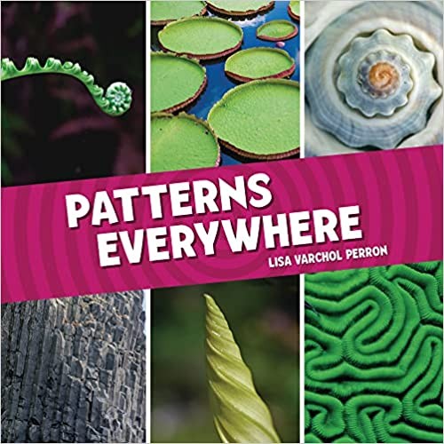 Cover for Patterns Everywhere