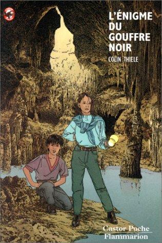 Cover for L'énigme du gouffre noir