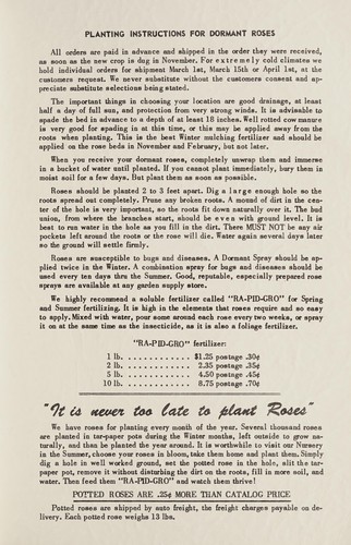 Cover for Roses for 1954-1955