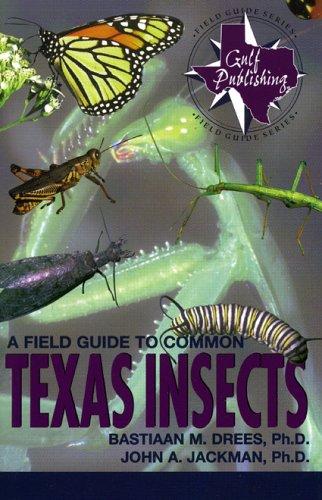 Cover for A field guide to common Texas insects