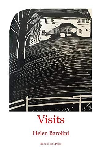 Cover for Visits