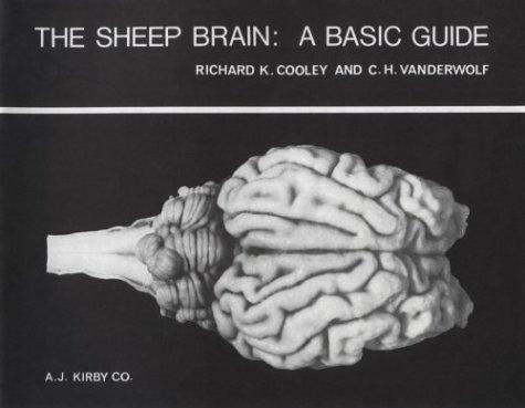 Cover for The Sheep Brain
