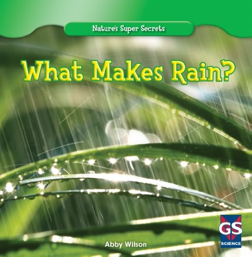 Cover for What Makes Rain?