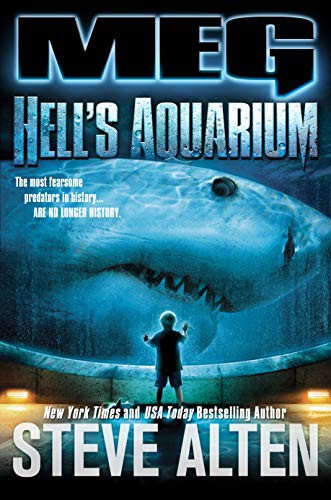 Cover for MEG