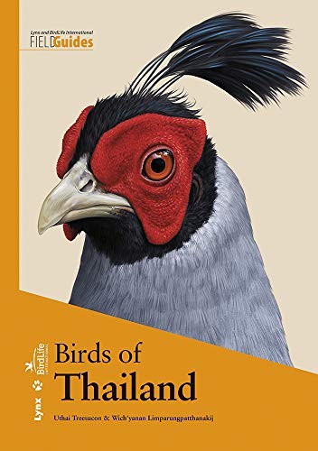 Cover for Birds of Thailand