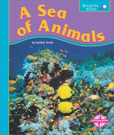 Cover for A Sea of Animals (Spyglass Books)