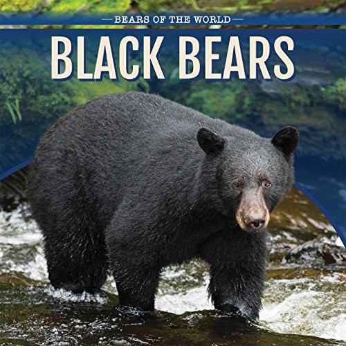 Cover for Black Bears
