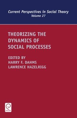 Cover for Theorizing The Dynamics Of Social Processes