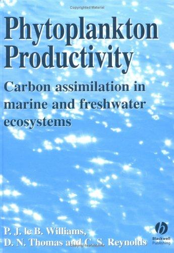 Cover for Phytoplankton Productivity