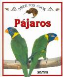 Cover for Pajaros/ Birds (Abre Tus Ojos)