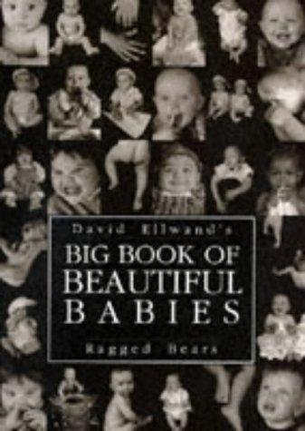 Cover for Big Book of Beautiful Babies