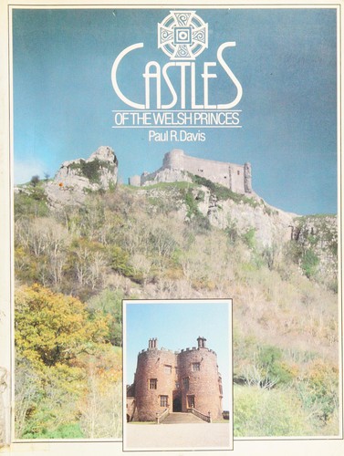 Cover for Castles of the Welsh Princes