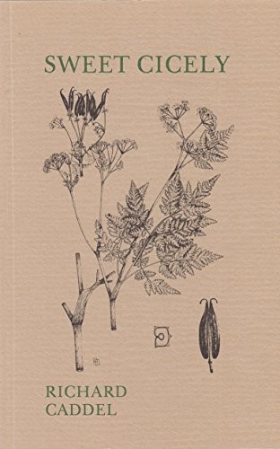 Cover for Sweetcicely
