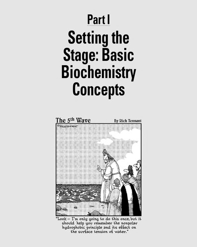 Cover for Biochemistry for Dummies