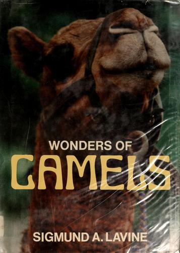 Cover for Wonders of camels