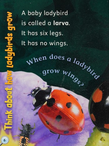 Cover for Investigate ladybirds