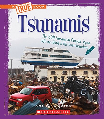Cover for Tsunamis