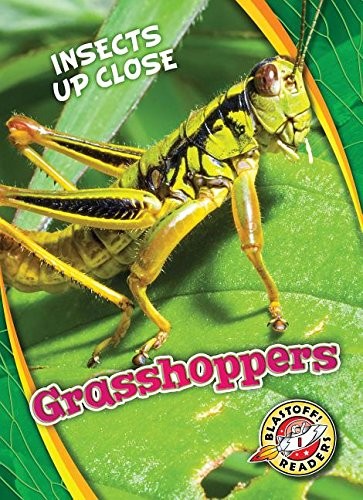 Cover for Grasshoppers