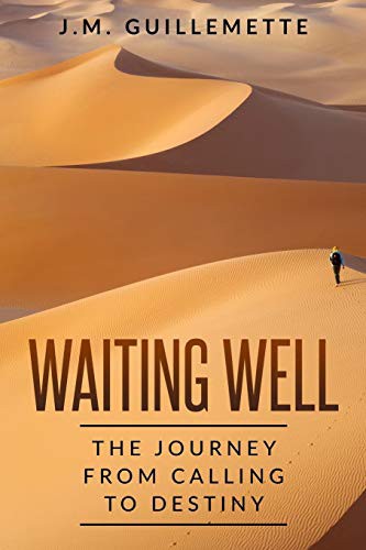 Cover for Waiting Well