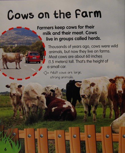 Cover for Cows