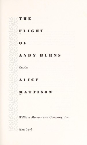 Cover for The flight of Andy Burns