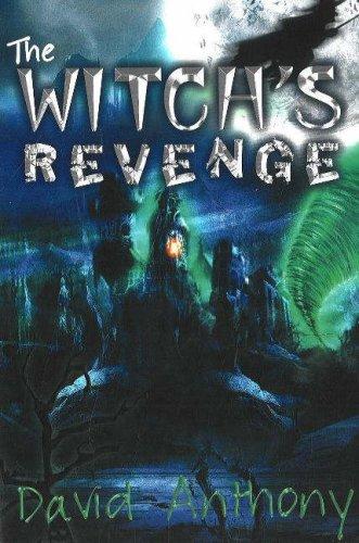 Cover for The Witch's Revenge