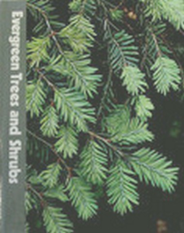 Cover for Evergreen Trees and Shrubs