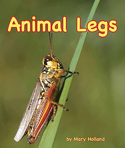 Cover for Animal Legs