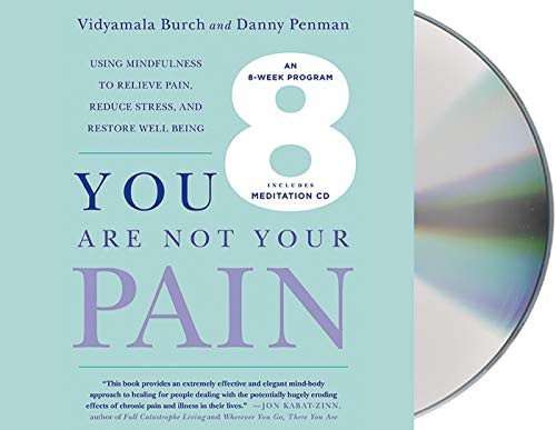 Cover for You Are Not Your Pain