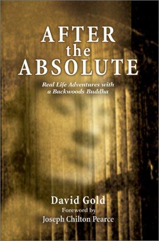 Cover for After the Absolute