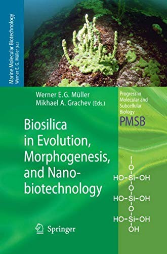 Cover for Biosilica in Evolution, Morphogenesis, and Nanobiotechnology